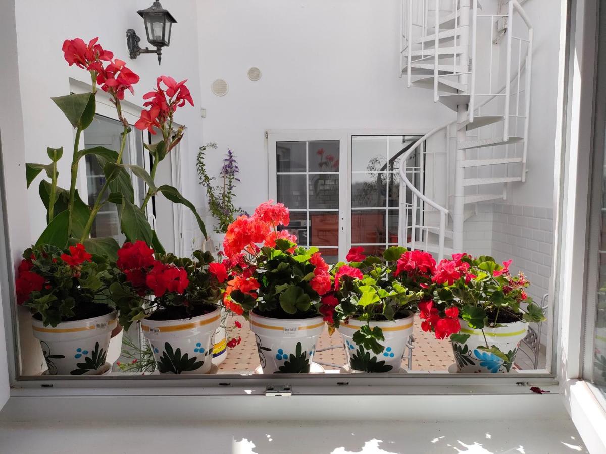 Casa Alba 1 Apartman Puerto del Rosario  Kültér fotó